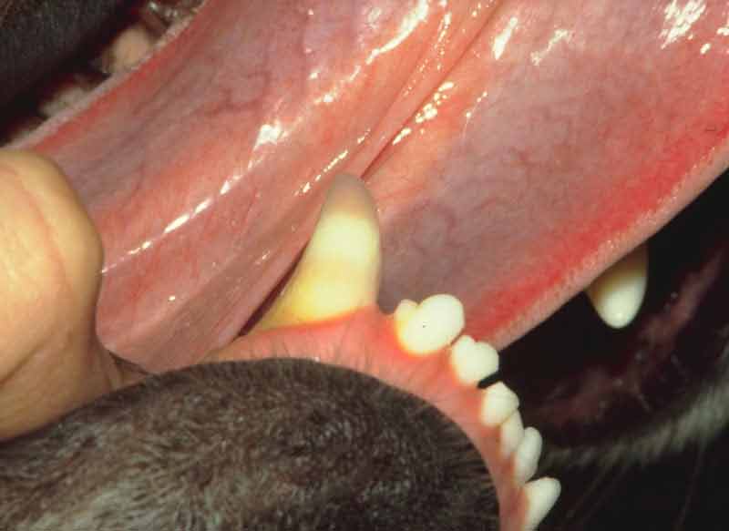 Endodontics tooth discoloration
